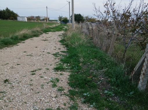 ŞARKÖY İSTİKLAL MAHALLESİNDE SATILIK ARSA